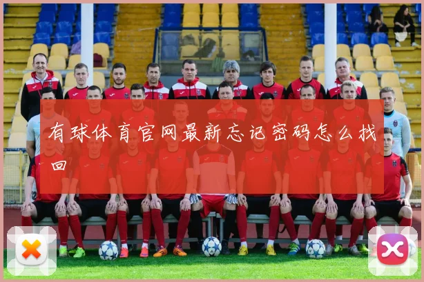 有球体育官网最新忘记密码怎么找回