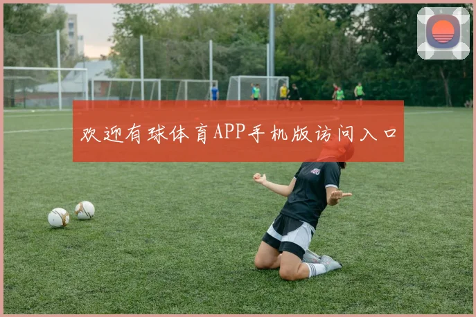 欢迎有球体育APP手机版访问入口