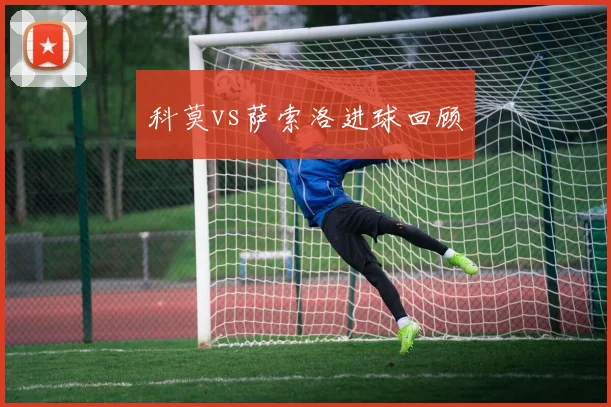 科莫vs萨索洛进球回顾