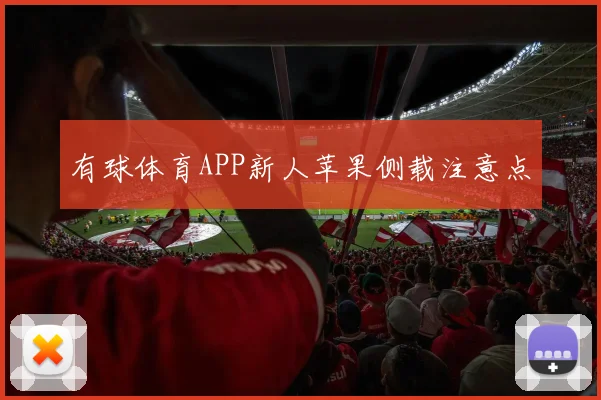 有球体育APP新人苹果侧载注意点