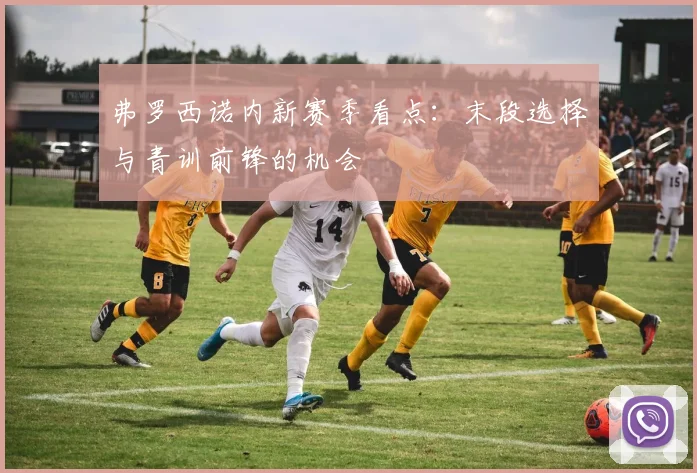 弗罗西诺内新赛季看点:末段选择与青训前锋的机会