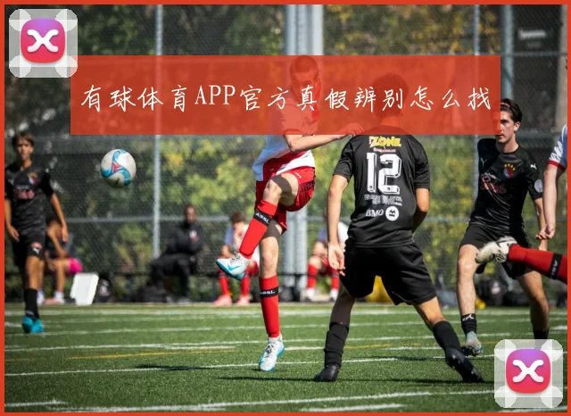 有球体育APP官方真假辨别怎么找
