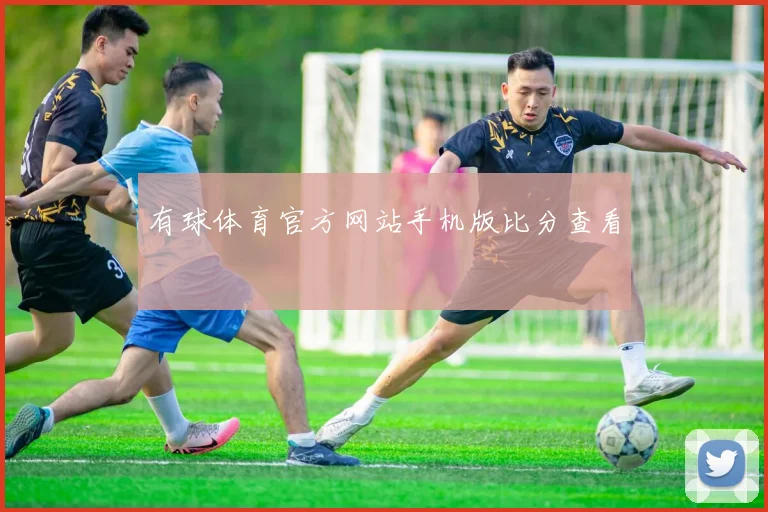 有球体育官方网站手机版比分查看